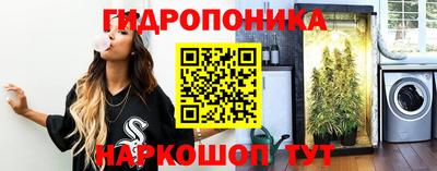 гашик Мариинск